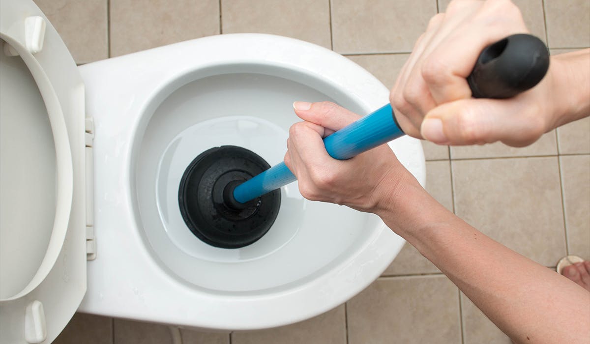 How to online clean toilet plunger